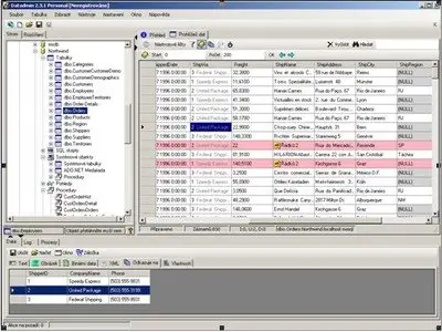 DatAdmin Professional 3.4.1 