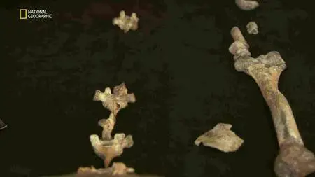 National Geographic - The Two Million Year Old Boy (2011)