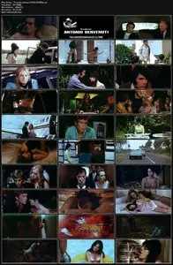 Female Animal (1970) 