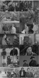 The Desperado (1954)