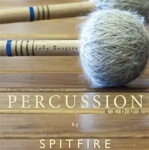 PERCUSSION - REDUX (KONTAKT)