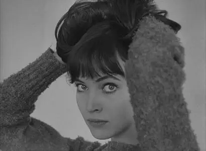 The Little Soldier / Le petit soldat (1963) [Criterion Collection]