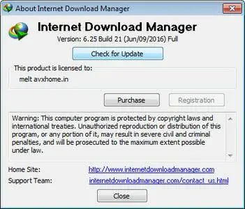 Internet Download Manager 6.25 Build 21 Multilingual