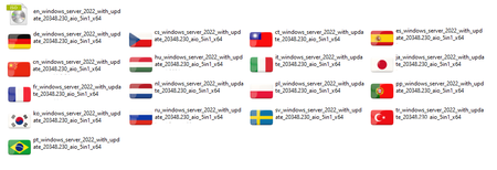 Windows Server 2022 LTSC version 21H2 Build 20348.230