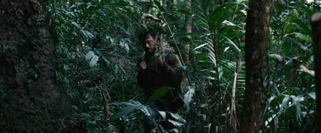 Jungle (2017)