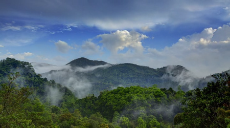 Wild Sri Lanka The Undiscovered Paradise (2015)