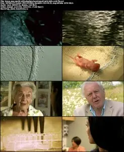 Brave New World With Stephen Hawking S01E06