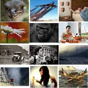 Impressive Pictures Pack12 Gallery