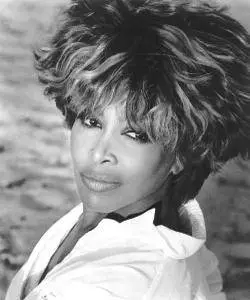 Tina Turner - All The Best: The Live Collection (2005) Repost