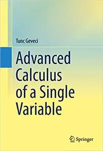 Advanced Calculus of a Single Variable (Repost)