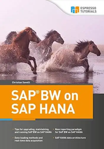 The SAP BW To HANA Migration Handbook