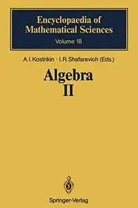 Algebra II: Noncommutative Rings Identities