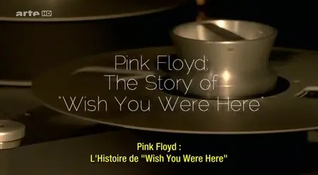 (Arte) Pink Floyd - The story of "Wish you were here" (2014)