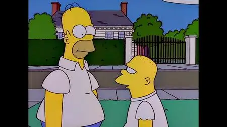 Die Simpsons S08E13