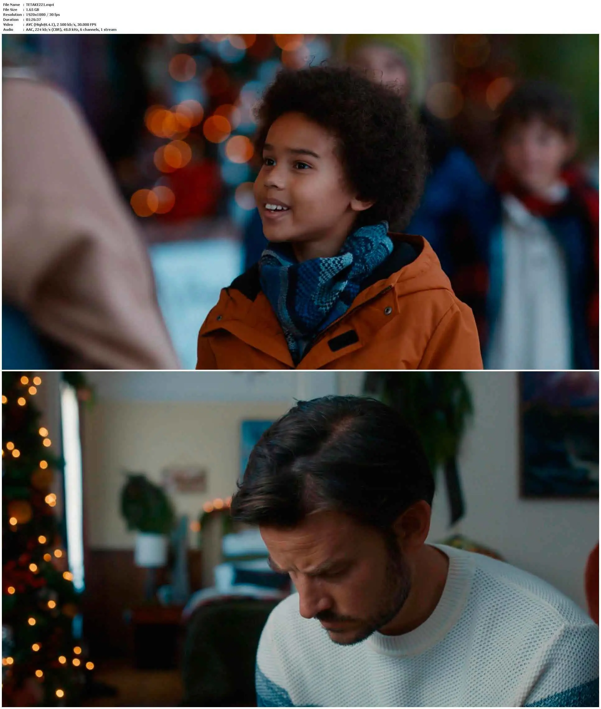 Christmas Takes Flight (2021) / AvaxHome