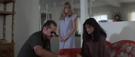 The Border (1982)