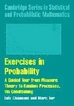 Exercises in Probability: A Guided Tour from Measure Theory to Random Processes, via Conditioning