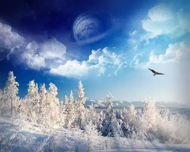 Winter Wonderland Wallpapers