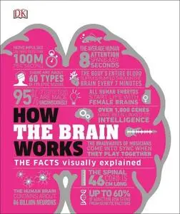 How the Brain Works: The Facts Visually Explained (UK Edition)