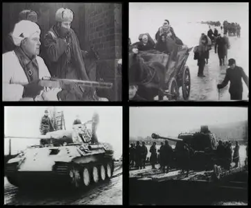 Sturm uber Ostpreussen.Dokumentation der Tragodie von Juni 1944 bis Mai 1945