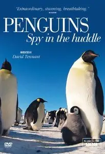 BBC - Penguins: Spy in the Huddle (2013)