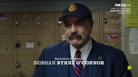 Blue Bloods (Familia de policías) S08E20