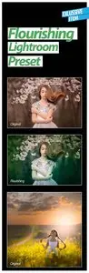 GraphicRiver Flourishing Lightroom Preset
