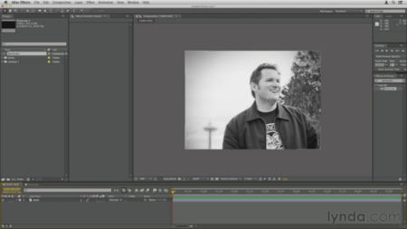 Trapcode Particular Essential Training