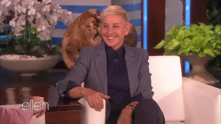 The Ellen DeGeneres Show S16E152