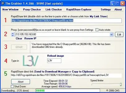 RapidShare Grabber new update 29-04-2006