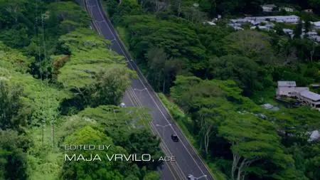 Hawaii Five-0 S05E06