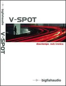 Big Fish Audio V-Spot Sample Library (MULTIFORMAT)