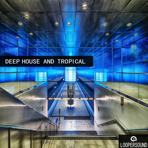 Loopersound Deep House And Tropical WAV