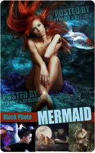 Mermaid - UHQ Stock Photo
