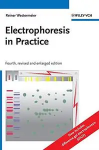 Electrophoresis in Practice: A Guide to Methods and Applications of DNA and Protein Separations, Fourth Edition