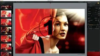 Nik Software  - Color Efex Pro 2 from Basics to Pro Workflow (2016)