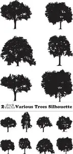 Vectors - Various Trees Silhouette