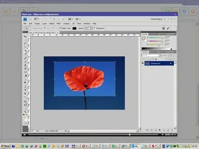 Collection videokursov Mon Adobe Photoshop CS4 enabled TeachVideo (2009RUS)