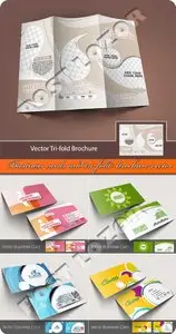Business cards and tri-fold brochure vector 