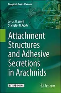 Attachment Structures and Adhesive Secretions in Arachnids (Repost)