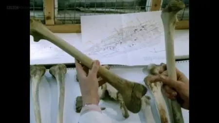 BBC The Mary Rose: A Timewatch Guide (2015)