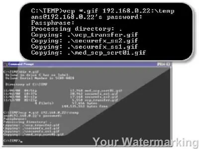 VanDyke ClientPack 6.1.1