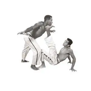 Capoeira DVD Set (Panther Production) [TUTORIAL]