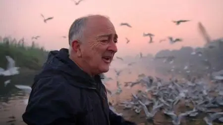 Channel 5 - Around the World by Train with Tony Robinson (2019)