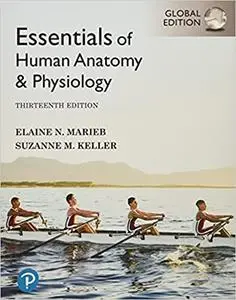 Essentials of Human Anatomy & Physiology, Global Edition, 13th Edition