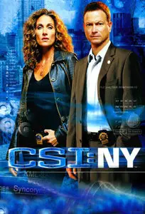 CSI: NY S09E08