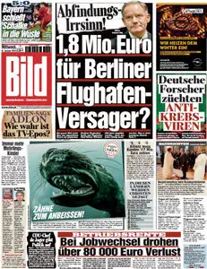 Bild Zeitung vom 09 Januar2013