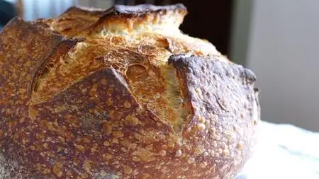 #1 Sourdough Bread Baking 101 (Updated)