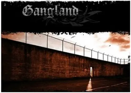 Gangland Season 01 02 03 (TV series)