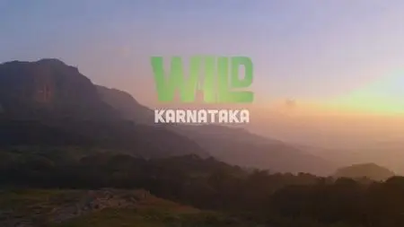 Icon Films - Wild Karnataka (2020)